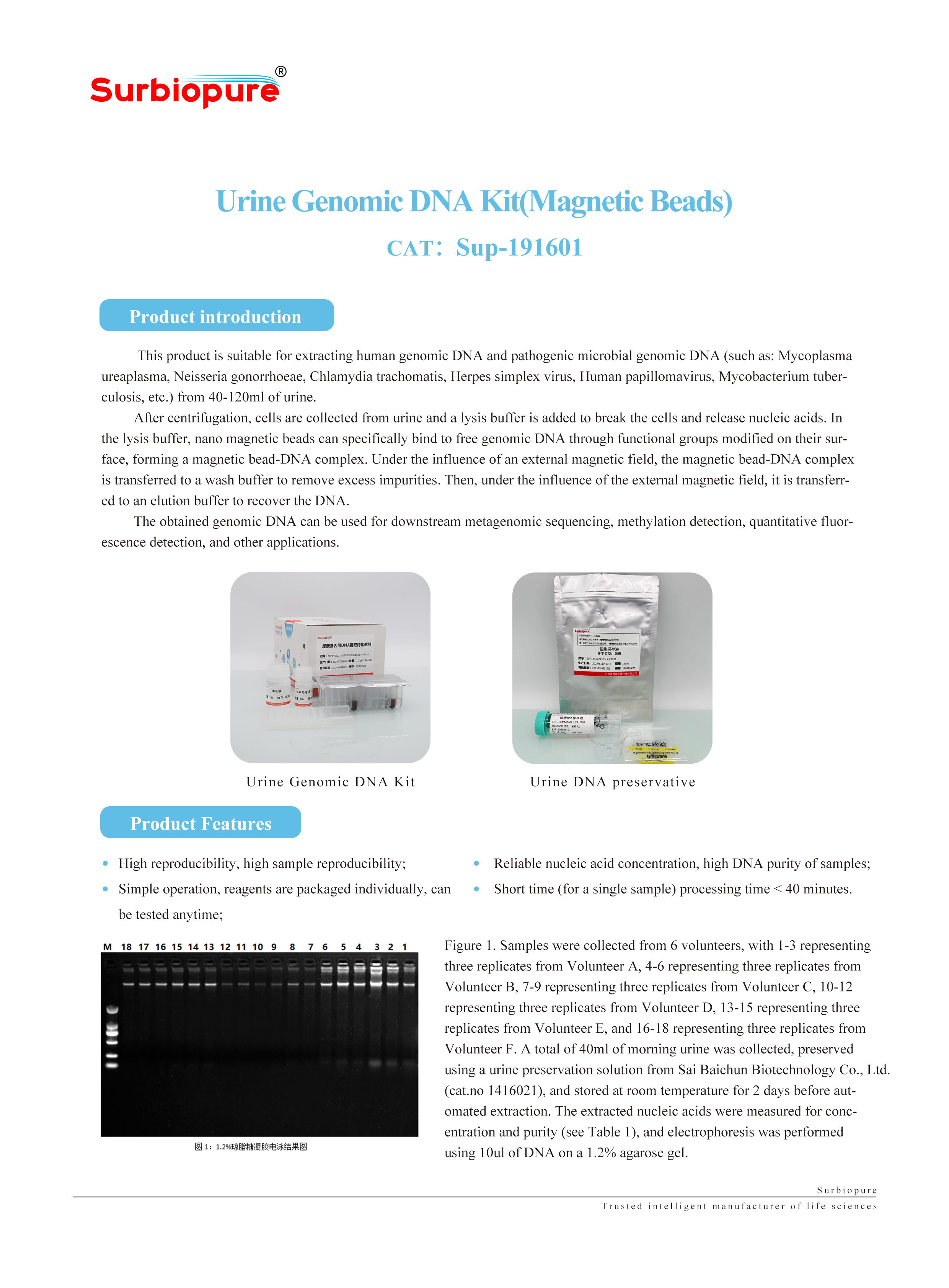 1724139756358282.jpg 畫闆 25.jpg